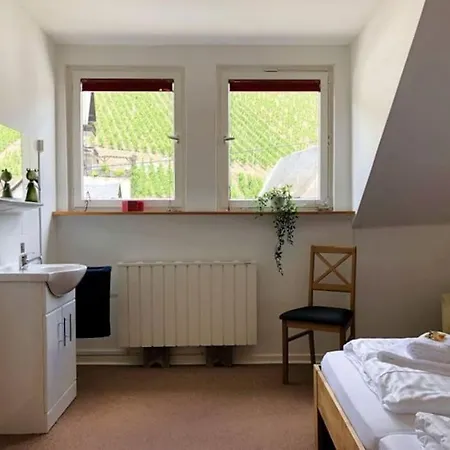 Schwanennest 度假居 摩泽尔河畔的泽尔