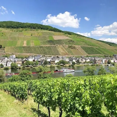 Schwanennest Semesterbostad Zell an der Mosel