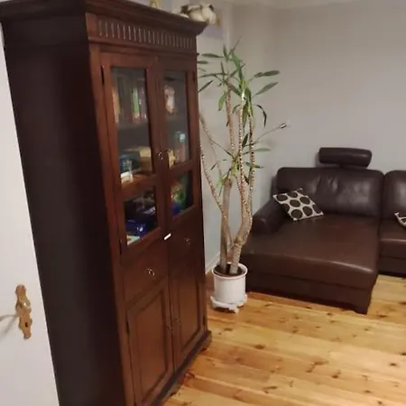 Schwanennest 摩泽尔河畔的泽尔