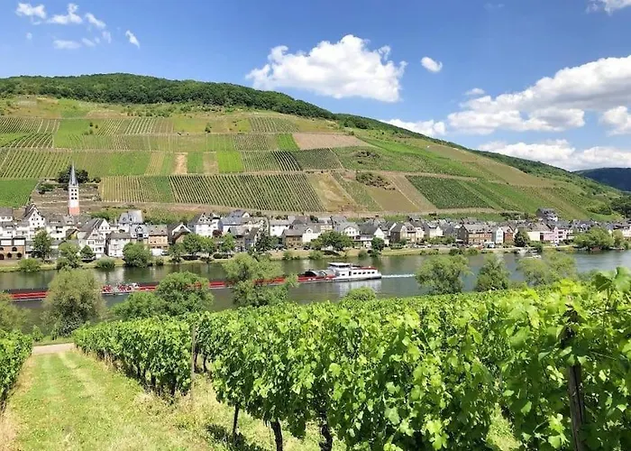 Schwanennest Semesterbostad Zell an der Mosel